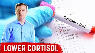 How To LOWER Cortisol Levels – Dr Berg [upl. by Aniger]