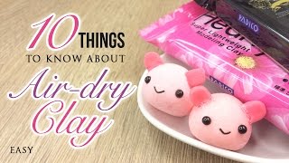 10 Things You Must Know About Airdry Clay [upl. by Duquette]