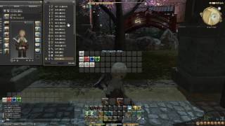 FFXIV  How to make an quotAdvancedquot Macro UI [upl. by Olihs]