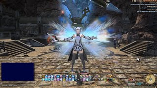 FFXIV  WHM Transformation Macro [upl. by Ayifas]