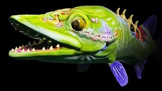 Zombie Fish Attack Everything  Feed and Grow Fish Gameplay [upl. by Jammie760]