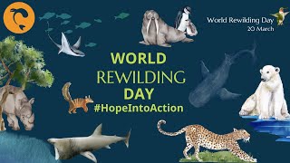 Rewilding Hope Into Action [upl. by Rodmun]