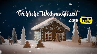 HOFER Weihnachtssong 2020 [upl. by Eneliak]