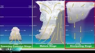 Aviation WeatherThunderstorm Life Cycle and your Airplane [upl. by Kallman835]