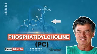 Phosphatidylcholine [upl. by Esbenshade257]