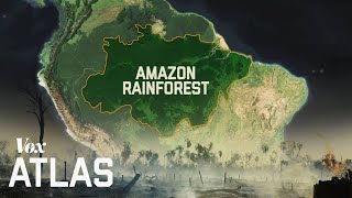 The destruction of the Amazon explained [upl. by Etteniotnna253]