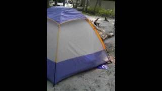 My Review for the Wenzel Alpine 85 x 8 Tent [upl. by Erfert913]