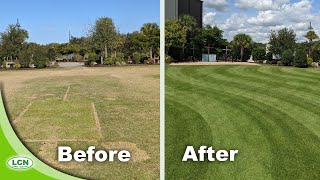 Fixing An Ugly Zoysia Lawn [upl. by Nevs]