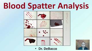 Blood Spatter Analysis [upl. by Esnohpla]