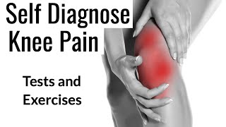 Knee Pain diagnosis and Exercises [upl. by Konyn]