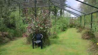 house garden and big aviary in 2016 [upl. by Ecadnac]