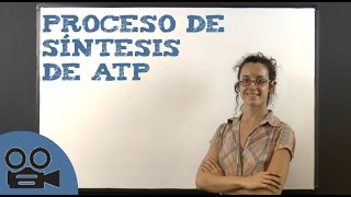 Proceso de síntesis de ATP [upl. by Nhguaved]