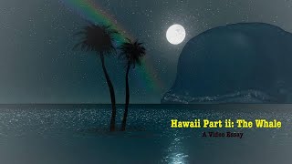 Hawaii Part ii The Whale A Video Essay [upl. by Merkle]