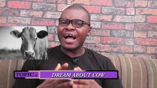 DREAMS ABOUT COWS  Evangelist Joshua Orekhie Dream Dictionary [upl. by Elag411]