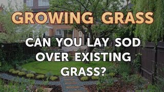 Can You Lay Sod Over Existing Grass [upl. by Luba]