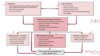 Systemic Inflammatory Response Syndrome SIRS [upl. by Emmanuel]