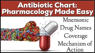 Amoxicillin Side Effects  Amoxicillin Drug Interactions  Pharmacist Review or Amoxicillin [upl. by Galligan]