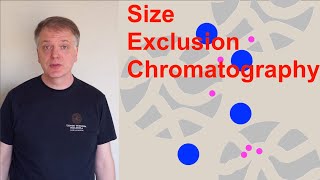 Size Exclusion Chromatography SEC [upl. by Martha]