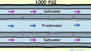 How Desalination Works [upl. by Arak]