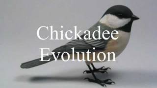 Chickadee Evolution Wood Carving [upl. by Hanikehs145]