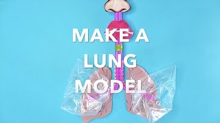 Understanding the Lungs and How We Breathe [upl. by Godliman781]