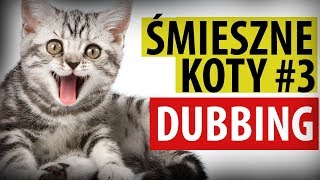 ŚMIESZNE KOTY 3 😂 DUBBING MATT OLECH [upl. by Adran]