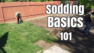 How NOT to lay Sod [upl. by Neeka]