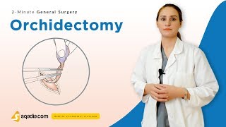 Orchidectomy  Surgery Video Lectures  Medical Student Education  VLearning [upl. by Vernice352]