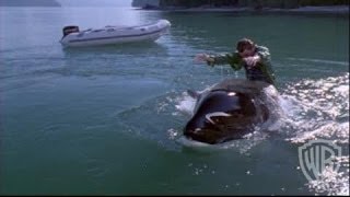 Free Willy 3 the Rescue  Trailer 1 Pg [upl. by Origra973]