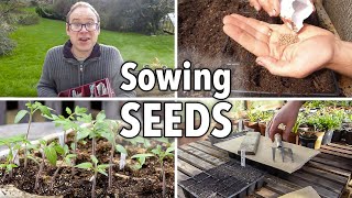 Sowing Seeds Absolutely Everything You Need to Know [upl. by Emmanuel]