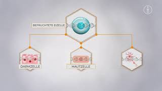 Transgenerational Epigenetics [upl. by Dinnie]