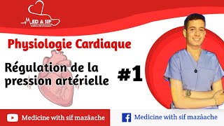 41 Régulation de la Pression Artérielle partie 01  Physiologie 2ème MED [upl. by Godden]