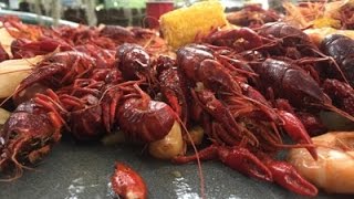 How to quotBOIL CRAWFISHquot Louisiana Style [upl. by Ranique703]