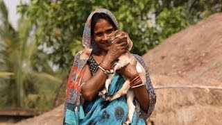 In Rural India Women Lead the Way to Improve Livelihoods [upl. by Aihtebat]