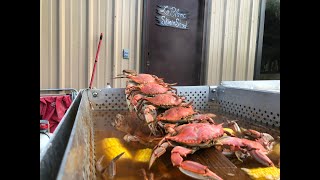 How to Boil Blue Crabs Louisiana Style [upl. by Kenton853]