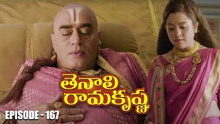 Tenali Ramakrishna Episode No 167  తెనాలి రామకృష్ణ  Season 1  Contiloe Studios Telugu [upl. by Asaret]