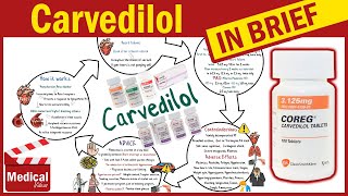 Carvedilol  Coreg  What is Carvedilol Used For Dosage Side Effects amp Precautions [upl. by Aem21]