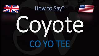 How to Pronounce Coyote  English American Pronunciation [upl. by Nosak84]