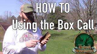 How to use the Box Call  Turkey Calling for Beginners [upl. by Winograd]