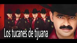 Los Tucanes De Tijuana  Puros Corridos Pesados Mix 2021 [upl. by Coates]