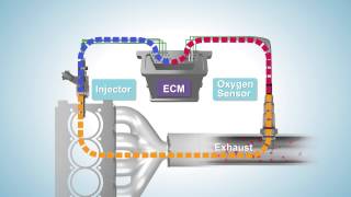 Fuel Trim  System Too Lean [upl. by Kimberlyn]