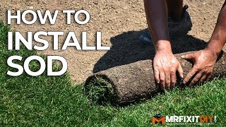 How to Install Sod  A DIY Guide [upl. by Anana]