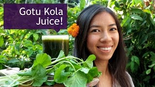 How to Make Gotu Kola Pennywort Drink [upl. by Drais589]