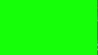 White Flash Green Screen Effect [upl. by Ynafit]