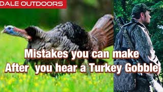 Mistakes you can make after you hear a TURKEY Gobble [upl. by Aivital683]