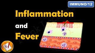 Inflammation or Inflammatory Response FLImmuno12 [upl. by Drofhsa277]