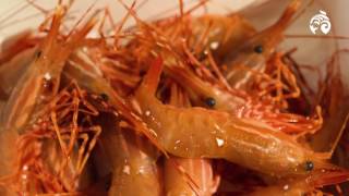 How to Cook Spot Prawns  Sustainable Seafood  Ocean Wise [upl. by Westberg159]