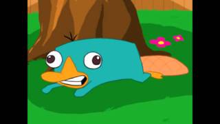 Perry the Platypus Noise [upl. by Vitek]