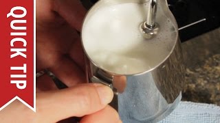 How to AutoFroth Milk for Lattes [upl. by Hoashis]