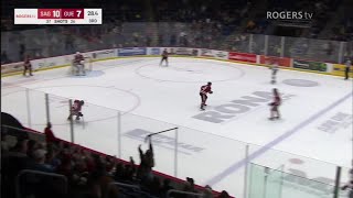 Fan Catches Hockey Stick at Guelph Storm Game [upl. by Seravat]